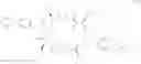 Fig. 237 - Endoparasitic depsipeptides