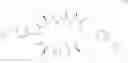 Fig. 241 - Endoparasitic depsipeptides