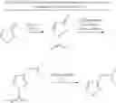 Fig. 28 - Endoparasitic depsipeptides