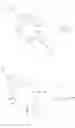 Fig. 35 - Endoparasitic depsipeptides