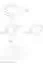 Fig. 37 - Endoparasitic depsipeptides