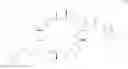 Fig. 43 - Endoparasitic depsipeptides