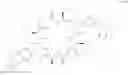 Fig. 47 - Endoparasitic depsipeptides