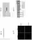 Fig. 04 - Compositions and method for reducing virulence of microorganisms