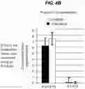Fig. 07 - Method of Treating Myasthenia Gravis