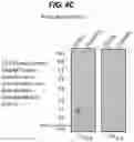 Fig. 08 - Method of Treating Myasthenia Gravis