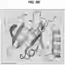 Fig. 10 - Method of Treating Myasthenia Gravis