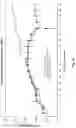Fig. 14 - Method of Treating Myasthenia Gravis