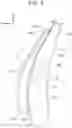 Fig. 05 - Structure of seat equipped with far-side airbag device