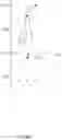 Fig. 04 - Apparatus and method for controlling driving mode of hybrid electric vehicle