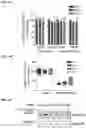 Fig. 09 - Compositions and methods for treating neurodegenerative diseases and cardiomyopathy