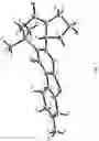 Fig. 02 - Pentacyclic heterocycles