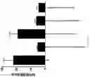 Fig. 02 - METHODS FOR PRODUCING CANCER STEM CELL SPHEROIDS