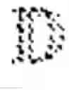 Fig. 03 - Aligning road information for navigation