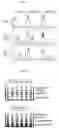 Fig. 02 - Immune function evaluation method and ELISA system therefor