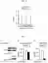 Fig. 04 - Immune function evaluation method and ELISA system therefor