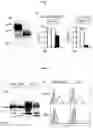 Fig. 05 - Immune function evaluation method and ELISA system therefor
