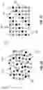 Fig. 03 - GSST and applications in optical devices