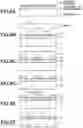 Fig. 09 - Imprint apparatus, imprint method, and article manufacturing method