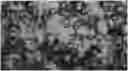 Fig. 01 - TONER FOR DEVELOPING ELECTROSTATIC IMAGE AND IMAGE FORMING METHOD