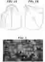 Fig. 02 - TONER FOR DEVELOPING ELECTROSTATIC IMAGE AND IMAGE FORMING METHOD