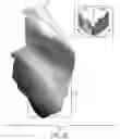 Fig. 26 - Hand sensing controller