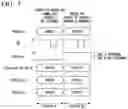 Fig. 06 - Information processing device, method for controlling information processing device, and program