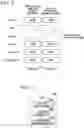 Fig. 07 - Information processing device, method for controlling information processing device, and program