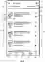 Fig. 10 - SERVICE PROVIDER SYSTEM AND METHOD