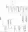Fig. 09 - Method and apparatus with speaker recognition registration