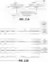 Fig. 12 - Method and apparatus for video coding