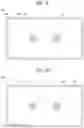 Fig. 05 - Display apparatus
