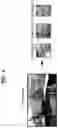 Fig. 05 - Method and apparatus for sound object following