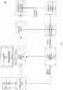 Fig. 02 - File format for spatial audio