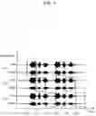 Fig. 05 - Signal processing device and signal processing method for performing sound localization processing