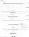 Fig. 11 - Proximity based user identification and authentication system and method