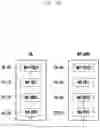 Fig. 106 - Structure of MAC sub-header for supporting next generation mobile communication system and method and apparatus using the same