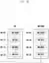 Fig. 117 - Structure of MAC sub-header for supporting next generation mobile communication system and method and apparatus using the same