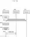 Fig. 145 - Structure of MAC sub-header for supporting next generation mobile communication system and method and apparatus using the same