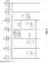 Fig. 05 - Local breakout architecture