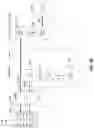 Fig. 11 - Local breakout architecture