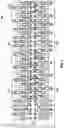 Fig. 05 - Multi-socket server assembly