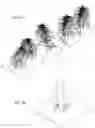 Fig. 03 - LIGHT REFLECTION APARATUS FOR PLANTS