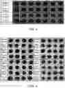 Fig. 03 - COMPOSITIONS, KITS AND METHODS FOR WEED CONTROL