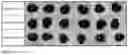 Fig. 04 - COMPOSITIONS, KITS AND METHODS FOR CONTROLLING WEED OF THE AMARANTHUS GENUS