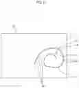 Fig. 06 - Absorbent sheet for pets