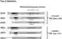 Fig. 01 - Method of producing a novel animal model for tauopathies