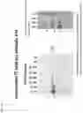 Fig. 18 - Method of producing a novel animal model for tauopathies