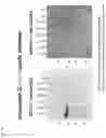 Fig. 20 - Method of producing a novel animal model for tauopathies