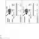 Fig. 26 - Method of producing a novel animal model for tauopathies